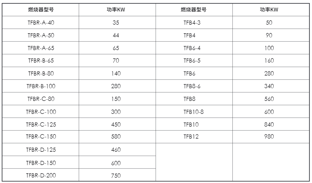 Tubflame系列液槽/浸没管加热燃烧器